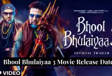 Bhool Bhulaiyaa 3 Movie
